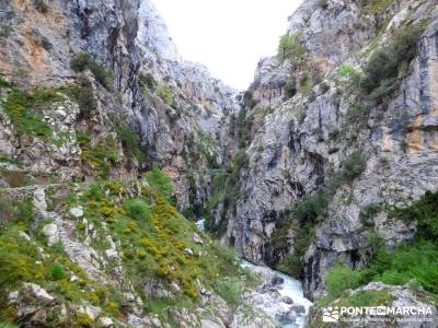 Ruta del Cares - Garganta Divina - Parque Nacional de los Picos de Europa;viajes senderismo